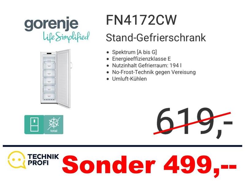 Gorenje FN4172CW