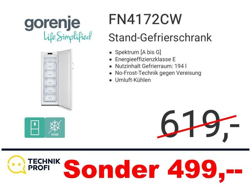 Gorenje FN4172CW